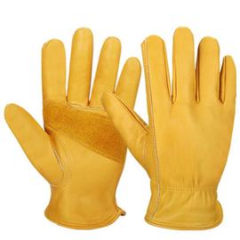 Paire de gants Miraculous