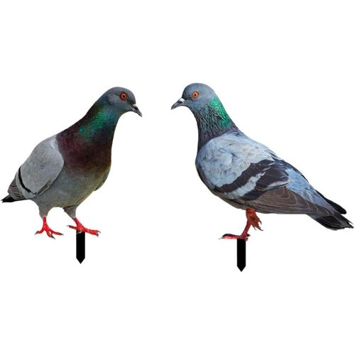 Lot de 2 statues de pigeons, piquets de jardin, sculptures animales décoratives réalistes, figurines d'oiseaux à insérer au sol, art de jardin pour décoration extérieure