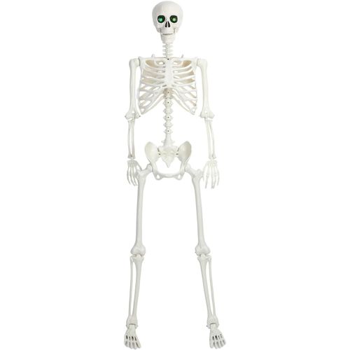 Squelette grandeur nature, 165 cm, squelette d'Halloween, squelette articulé, corps entier, os humains avec articulations mobiles, pour décorations d'Halloween intérieures et extérieures, 170 cm