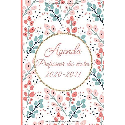 Agenda Professeur Des Écoles 2020 2021: Carnet De Bord Enseignant 2020 2021 | Planner De Août 2020 À Août 2021