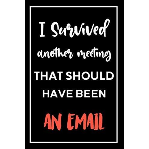 I Survived Another Meeting That Should Have Been An Email: 6x9 Lined 100 Pages Funny Notebook, Ruled Unique Diary, Sarcastic Humor Journal,Birthday Gift, Perfect Gag Gifts , Gift For Coworkers.