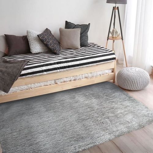 BEST OF - Tapis poils longs toucher laineux 120 x 170 cm Gris Clair