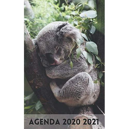 Agenda - Rentrée Septembre 2020 / 300 Pages / Couverture : Koala Marsupial Australie - Paresseux Australien