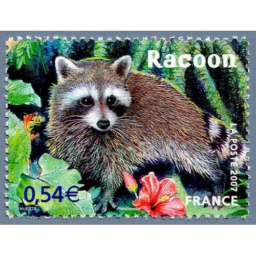France 2007, Très Beau Timbre Neuf** Luxe Yvert 4034, Espèces Protégées D'outre-Mer Le Racoon Ou Raton Laveur. -