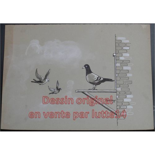 Dessin Presse Original - Humoristique - Pigeons (Freddy, Dessinateur Belge Années 1970-1980) -18