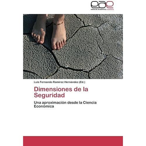 Dimensiones De La Seguridad