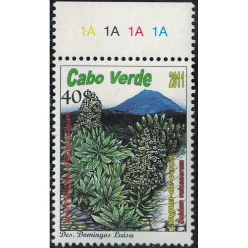 Cap Vert 2011 Neuf Echium Vulcanorum Espèce Endémique Rare Chã Das Caldeiras