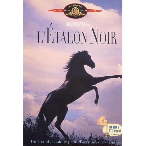 L'etalon Noir