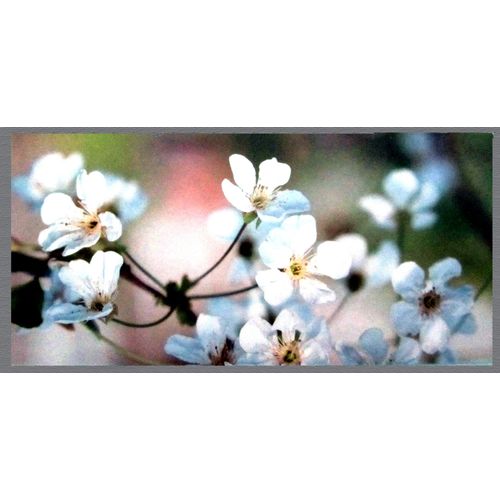 Carte " Pommier En Fleur " + Enveloppe Bleue.