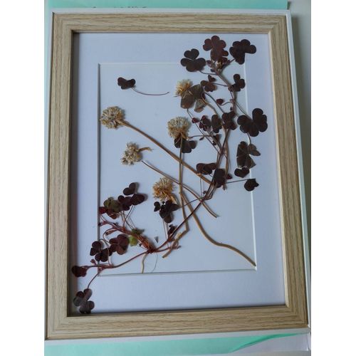 Tableau fleurs séchées naturelles