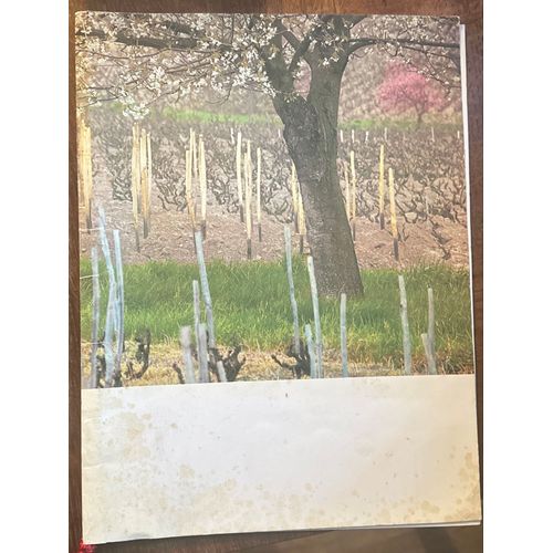 526e Chapitre De La Confrérie, Des Chevaliers Du Taste-Vin, Chapitre Des Prémices Exemplaire Numéro 577