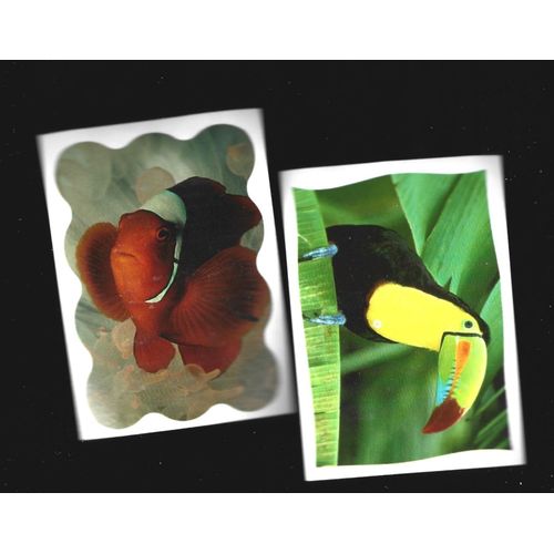 Vignette Panini Mc Do Animaux Toucan Et Poisson
