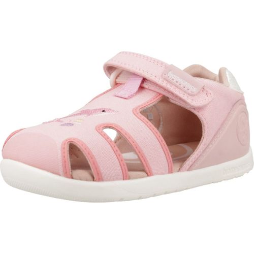 Biomecanics 252191b Colour Rose