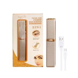 Épilateur Électrique 2 En 1 Pour Le Visage Et Les Sourcils - Appareil De Beauté Portable, Indolore Et Rechargeable Pour Femmes