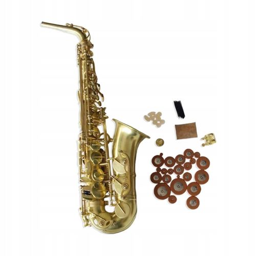Projets De Saxophone Alto Portables À Faire Soi-Même Avec Amplificateurs De Tonalité Et Support Permanent