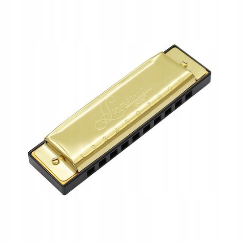 Harpe Diatonique Golden Cover Blues Avec Étui De Nettoyage Portable