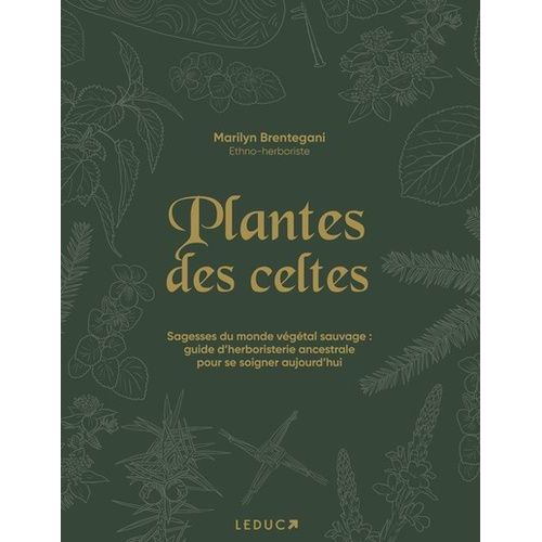 Plantes Des Celtes - Sagesses Du Monde Végétal Sauvage : Guide D'herboristerie Ancestrale Pour Se Soigner Aujourd'hui