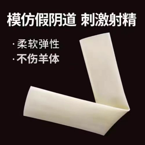 Kit De Collecte De Spermes De Mouton,Collecteur De Sperme De Chèvre,Outil D'insémination Artificielle De Mouton,Grand Chien,Faux Vétérinaire Artificiel - Type Inner Tube-Sheep