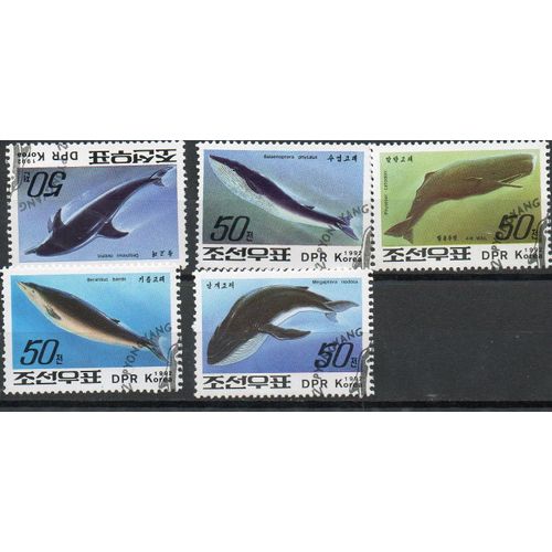Corée Du Nord Timbres Animaux Les Poissons