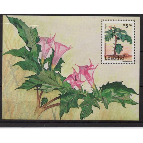 Lesotho Timbre Plantes Médicinales 1995