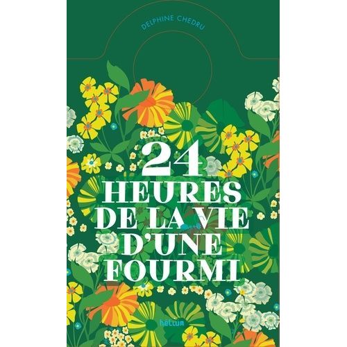 24 Heures De La Vie D'une Fourmi