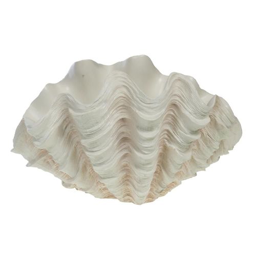 Coupe Coquillage Benitier XXL