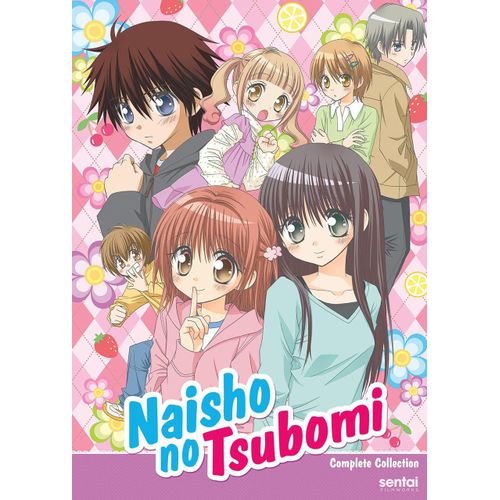 Naisho No Tsubomi / [Dvd] [Import]