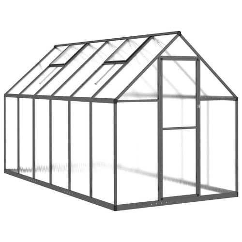 Serre Tente Abri Plante Fleur Légumes Avec Cadre De Base 334 X 169 X 195 Cm Aluminium Anthracite Helloshop26 02_0044501