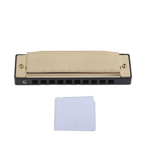 Harmonica 10 Trou 20 Ton G Clé Jouant Bouche Orgue Vent Instrument De Musique Avec Boîte Tissuor