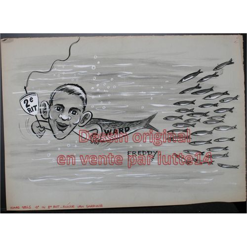 Dessin 50 X 35 Cm (55) Humoristique Original De Freddy Dessinateur Belge : Sport Natation Ward Sels 1° In 2° Rit Ronde Van Sardinie