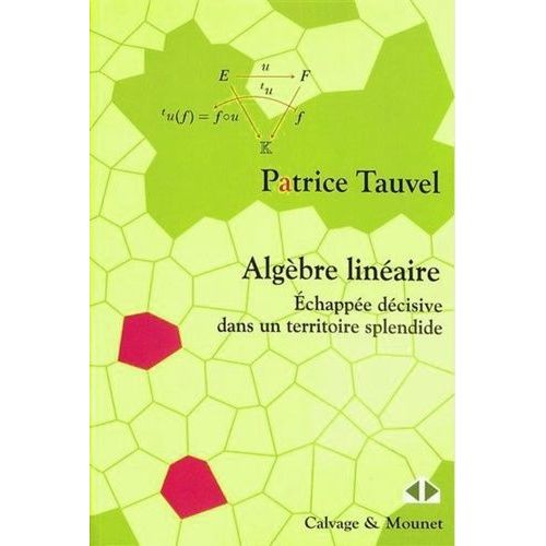 Algèbre Linéaire - Echappée Décisive Dans Un Territoire Splendide