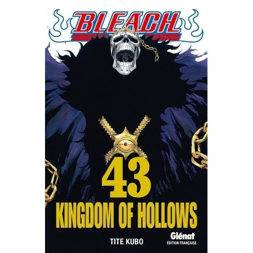 Bleach - Tome 43 : Kingodm Of Hollows