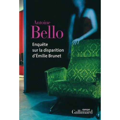 Enquête Sur La Disparition D'emilie Brunet