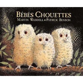 Bébés Chouettes