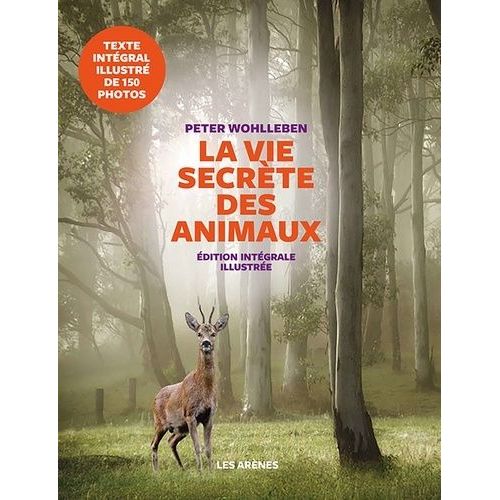 La Vie Secrète Des Animaux