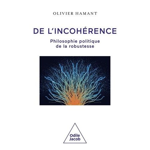 De L'incohérence - Philosophie Politique De La Robustesse