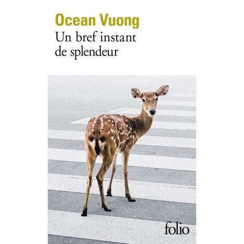 Un Bref Instant De Splendeur