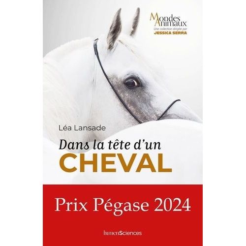 Dans La Tête D'un Cheval