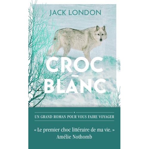 Croc-Blanc