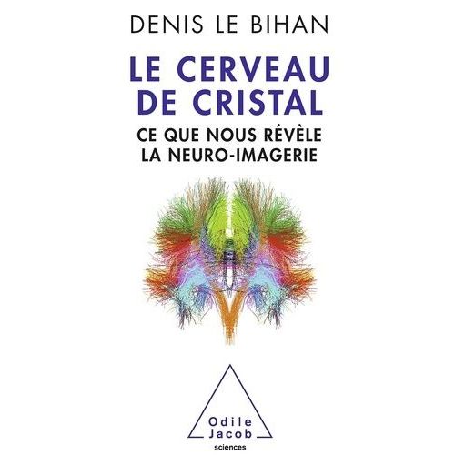 Le Cerveau De Cristal - Ce Que Nous Révèle La Neuro-Imagerie
