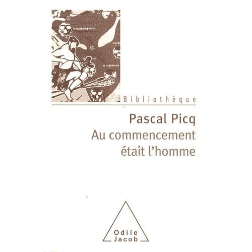 Au Commencement Était L'homme - De Toumaï À Cro-Magnon