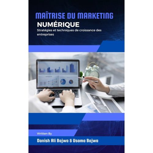 Maîtrise Du Marketing Numérique