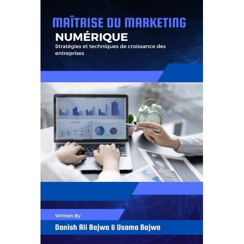 Maîtrise Du Marketing Numérique