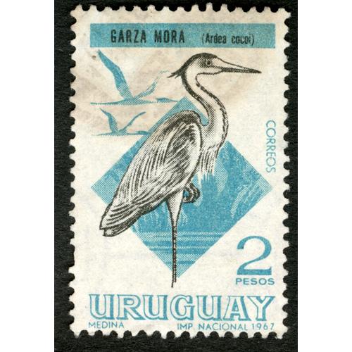 Timbre Oblitéré Uruguay, Garza Mora, Ardea Cocoi, Correos, 2 Pesos, 1967