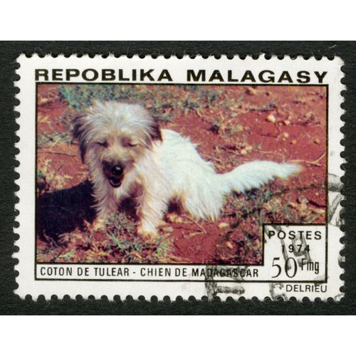 Timbre Oblitéré Repoblika Malagasy, Coton De Tulear, Chien De Madagascar, Postes, 1974, 50 Fmg