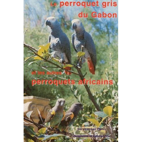 Le Perroquet Gris Du Gabon Et Les Autres Perroquets Africains