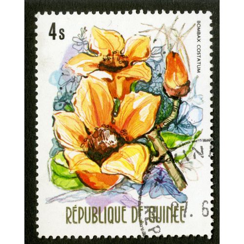 Timbre Oblitéré République De Guinée, Bombax Costatum, 4 S