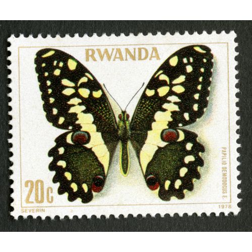 Timbre Non Oblitéré Rwanda, Papilio Demodocus, 20 C