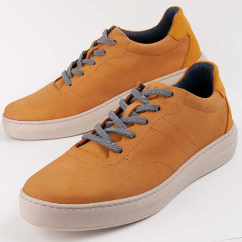 Baskets Purapiel