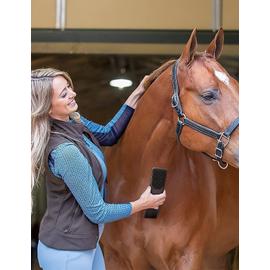 Roma - Cure Pied Avec Brosse - Cheval (taille Unique) (violet) à Prix  Carrefour